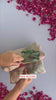 Luxury Hand Embroidered Organza Saree with Designer Blouse