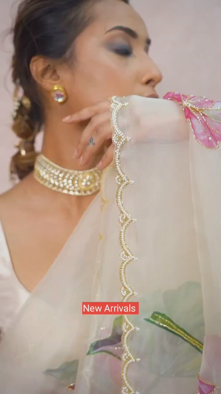 Luxury Hand Embroidered Organza Saree with Designer Blouse